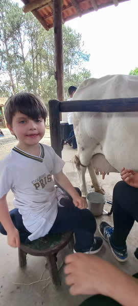 Bicho Mania 2022